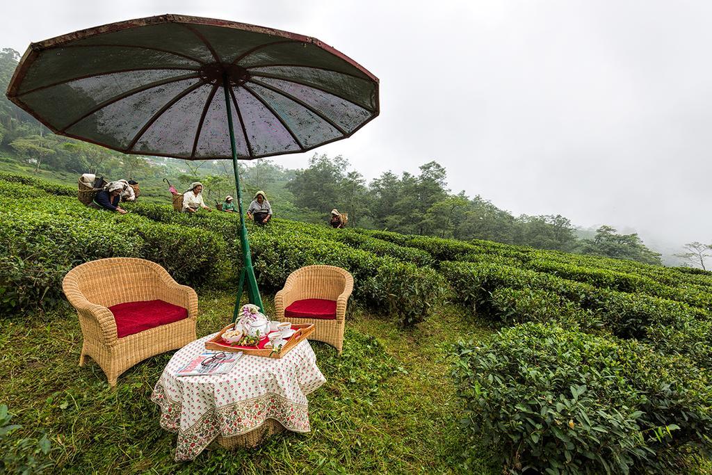 Ging Tea House Guest House ดาร์จีลิง ภายนอก รูปภาพ