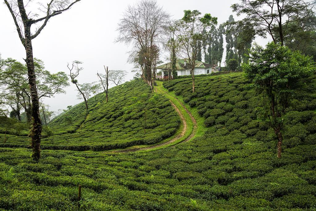 Ging Tea House Guest House ดาร์จีลิง ภายนอก รูปภาพ
