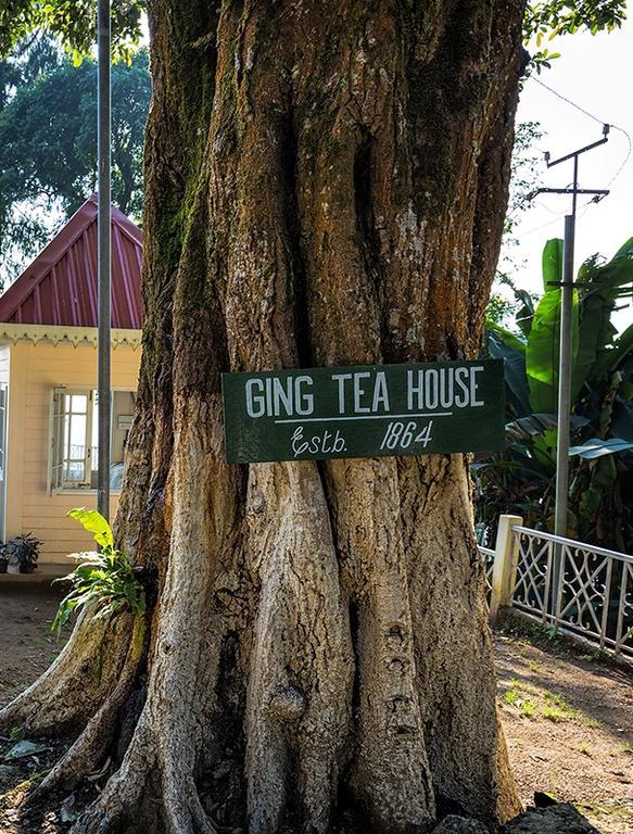 Ging Tea House Guest House ดาร์จีลิง ภายนอก รูปภาพ